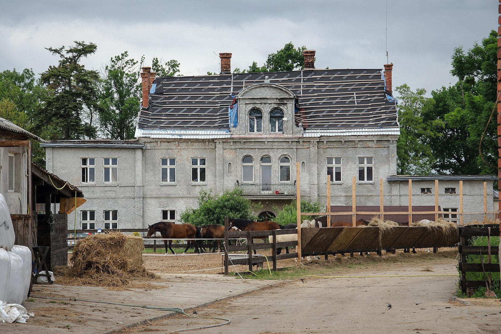 Szary eklektyczny pałac w Szczedrzykowicach z dachem w trakcie remontu, przed nim konie na ogrodzonym wybiegu