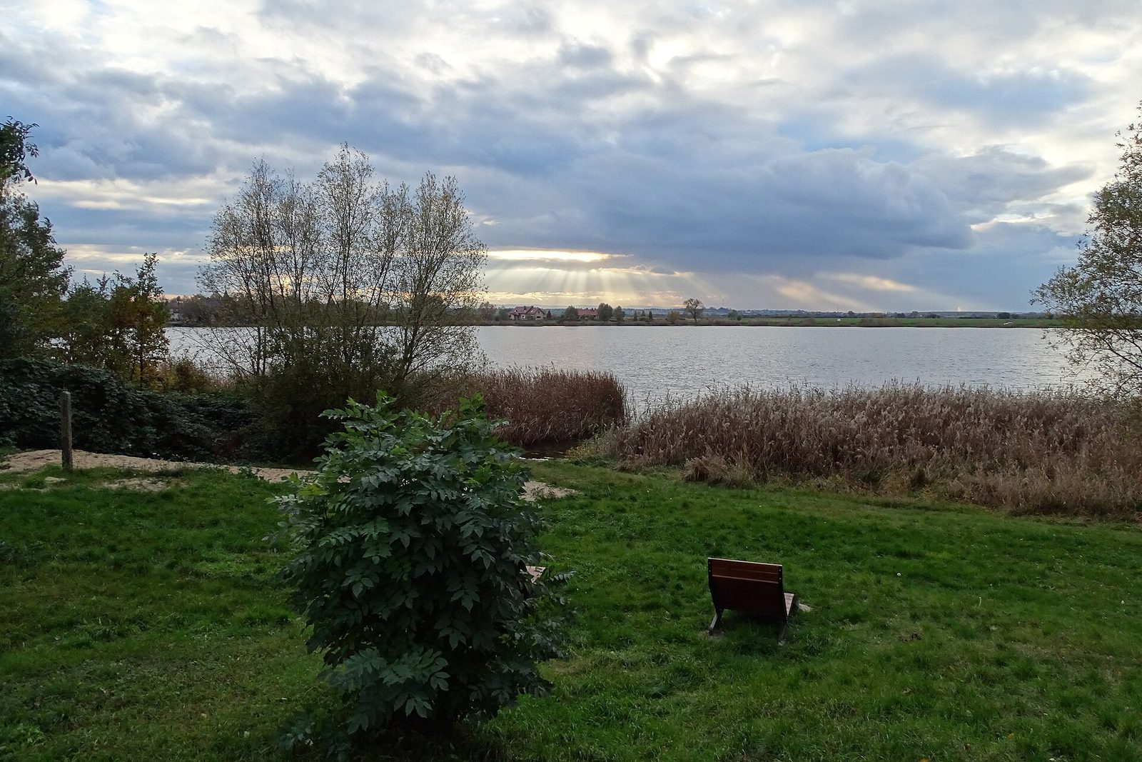 Jezioro Jaśkowickie z brzegu, za wodą drzewa parku wiejskiego w Jaśkowicach