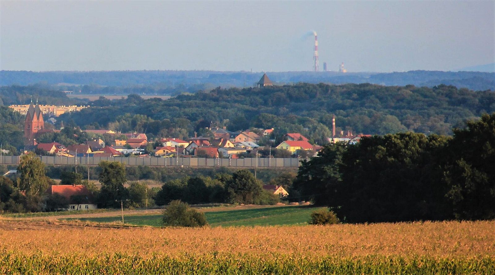 Wzgórze Chmielowe w Parku Piastowskim w Chojnowie z wieżą ciśnień górującą nad drzewami