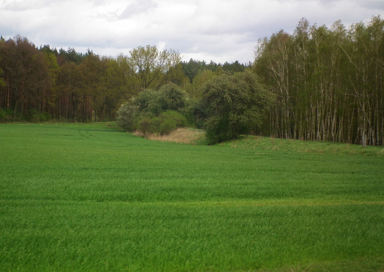 Krajobraz gminy Rudna z drogi, 22 kwietnia 2017; tak wygląda okolica zbiornika od strony publicznych dróg